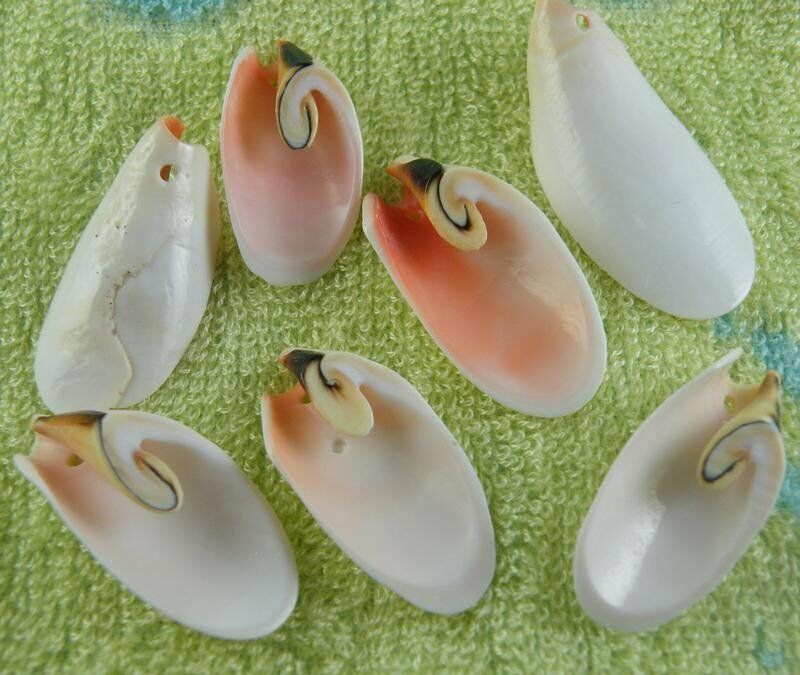 20pcs Shell Jewelry Charms / Pendants 34x16x9mm SH005