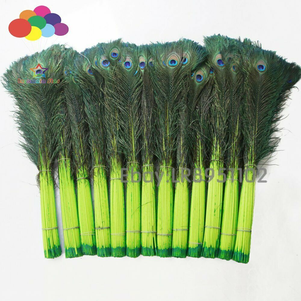 Fruit green 100 PCS Peacock Feather 70-80 cm Clothing Decoration Plumage Fashion