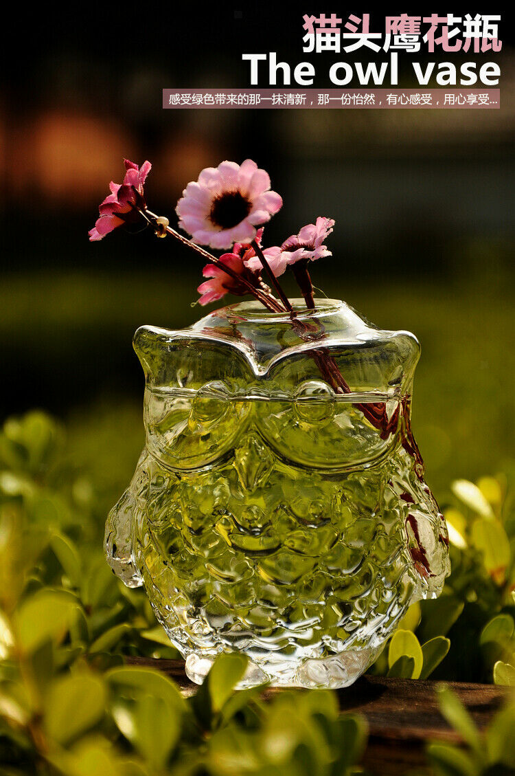 Glass Flower Planter Hydroponic Vase Terrarium Container