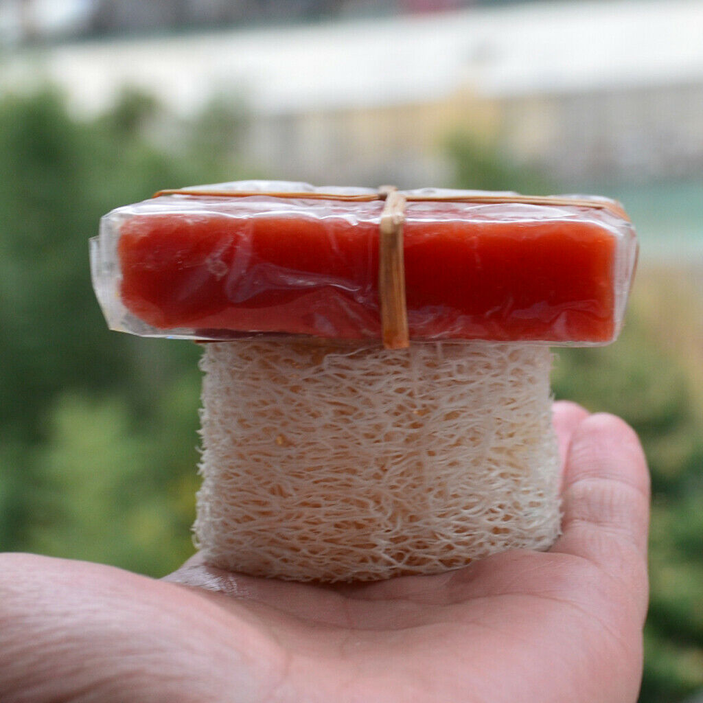 4 Pieces Bathroom Kitchen Loofah Soap Dishes Boxes Holders Sponge Containers