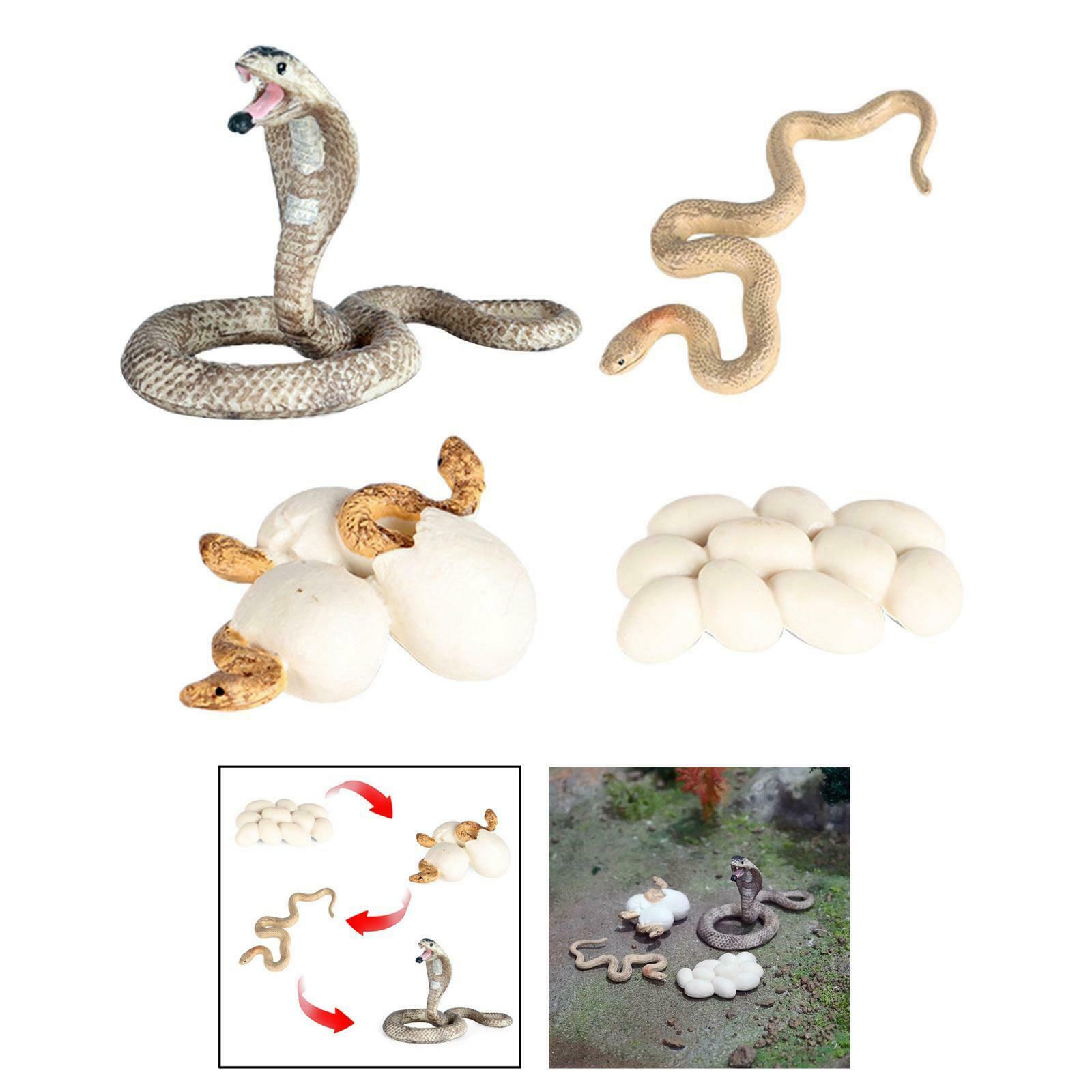 Realistic Cobra Growth Figures Kids Cognitive Toys Role Play Themed Party