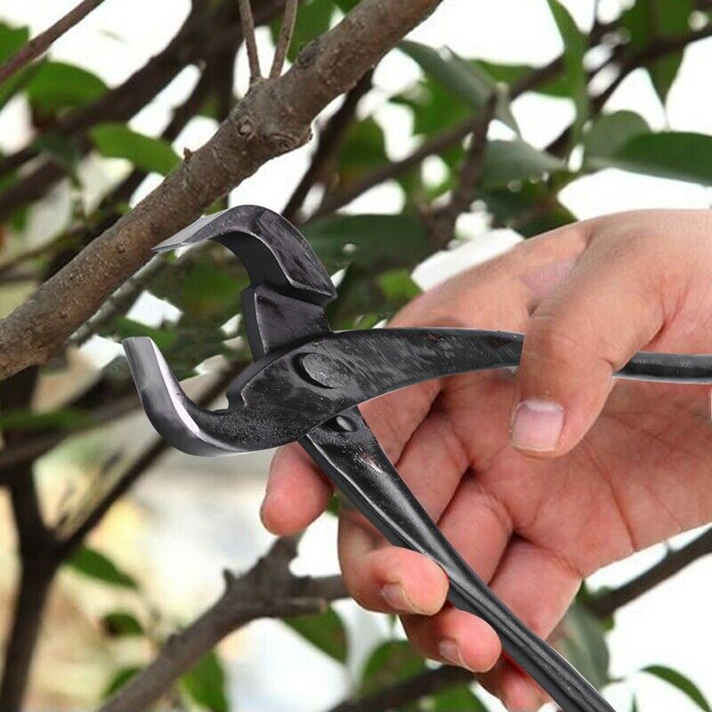 Trunk Separator Splitter Grade Stainless Steel Bonsai Tool H6D5D5