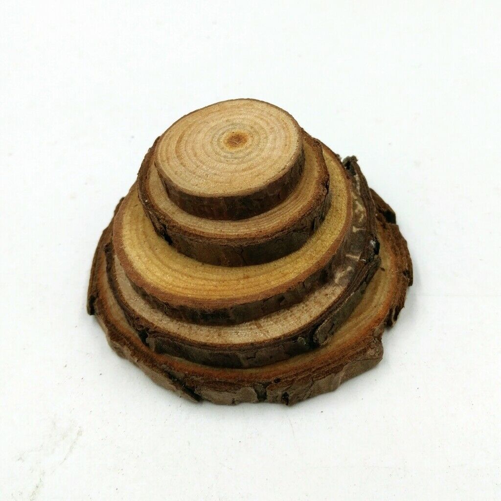 50pc Wood Tree Slices Disc Pine Tree Log Plaques for Drawing Paintings 2-4cm