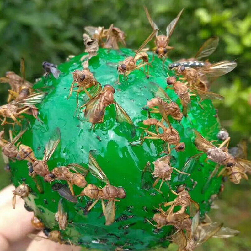 Hanging Ball Fruit Fly Catcher Sticky Trap Disposable Wasp Bee Yellow Jacket