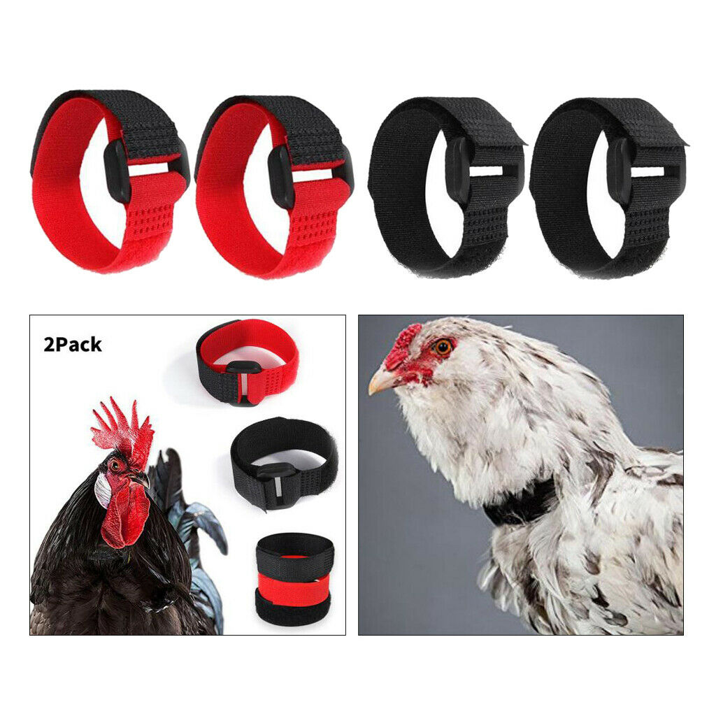 Set of 4 Rooster Collar Prevent Chicken from Screaming for Poultry Rooster