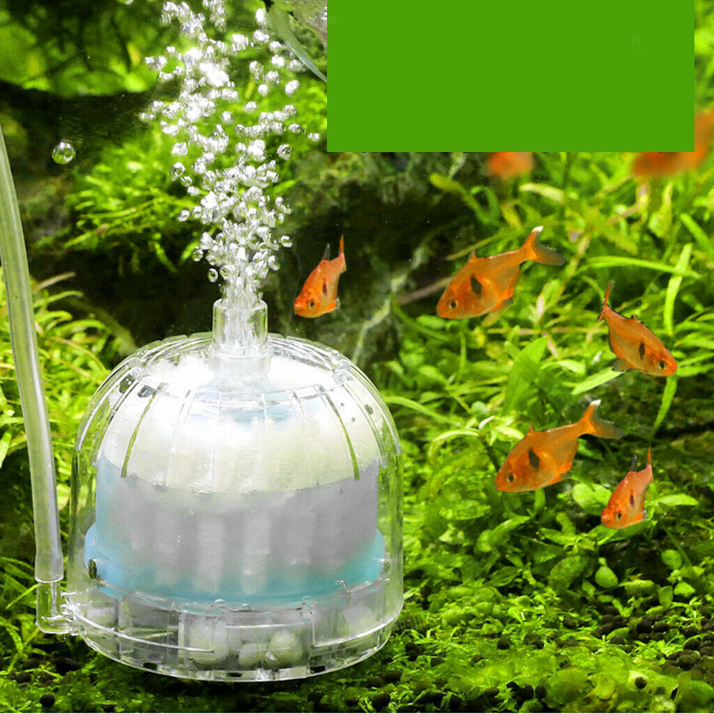 Air Oxygen Pump Filter Driven Bio Aquarium Sponge Fish Tank Box Filter