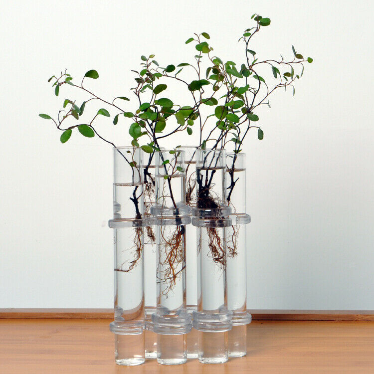6x Glass Tubes Shape Hanging Hydroponic Flower Plant Vase Terrarium Container