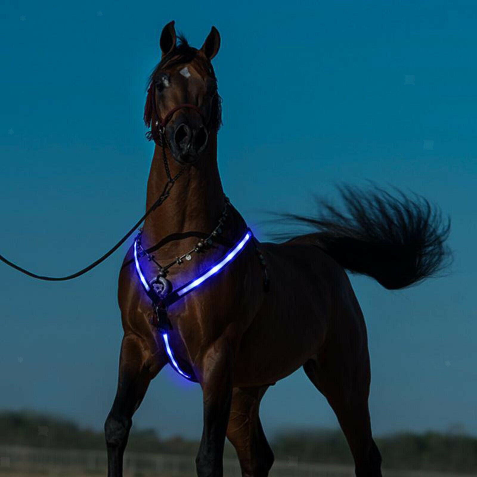 LED Horse Breastplate Collar Bridle Halter Night Neon Lights High Visibility
