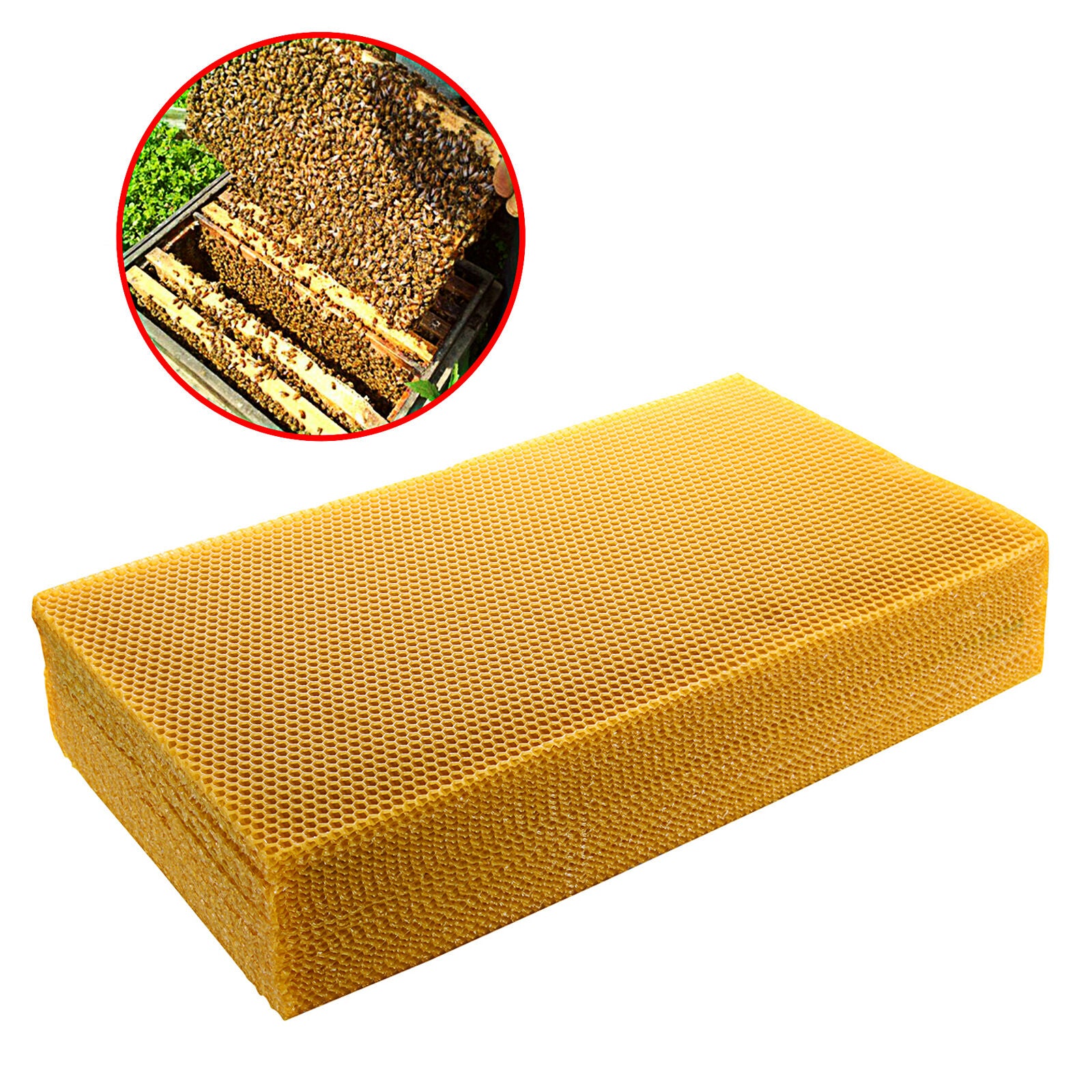 10pcs Natural Beeswax Candlemaking Bee Wax Candle