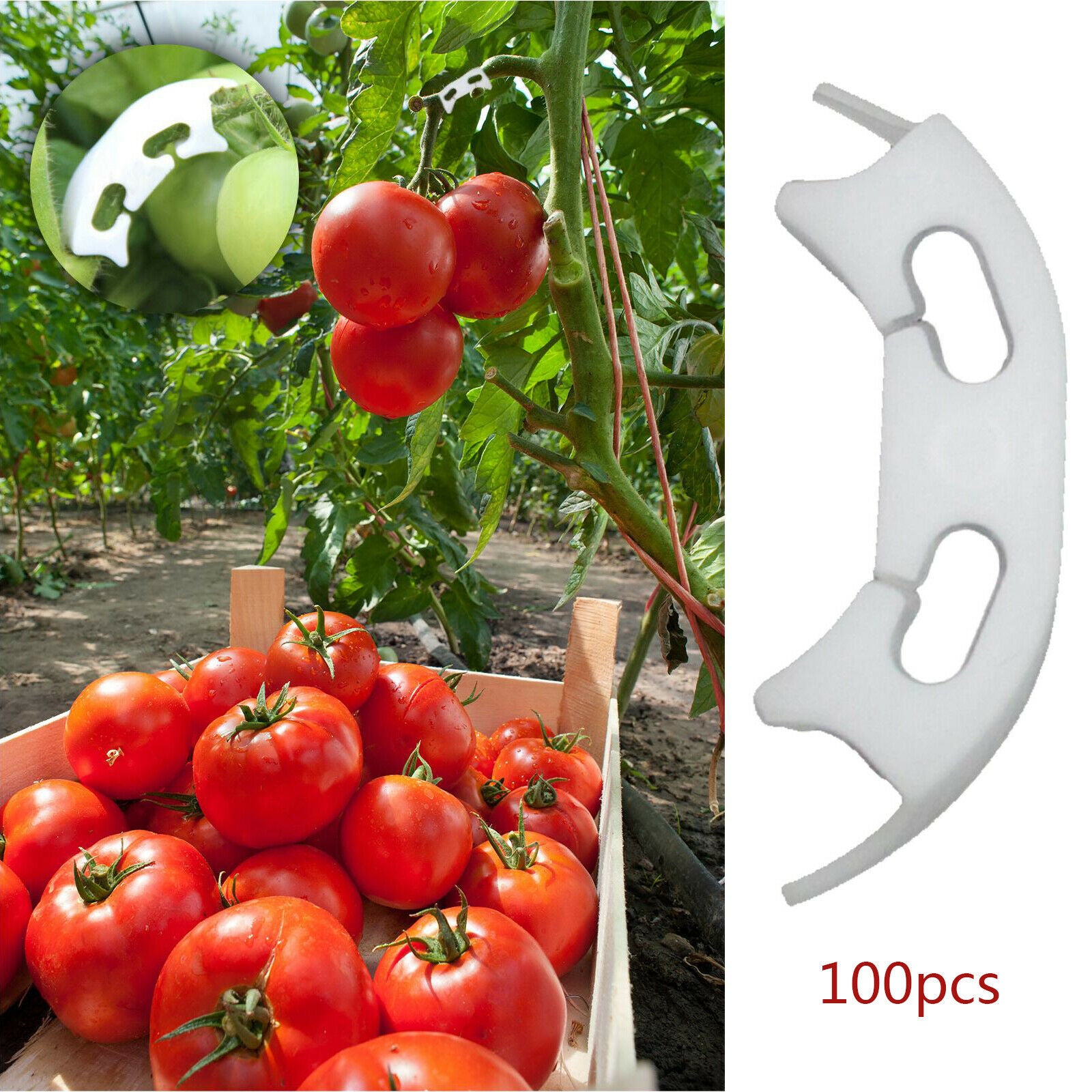 100x Vegetables Tomato Fixing Clips Prevent Bending Support Clamp for Garden