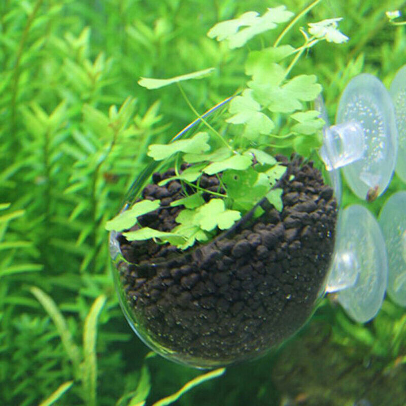 Cultivation Cup Aquatic Plant Cup Pot with Suction Cups for Fish Tank Aquar Tt
