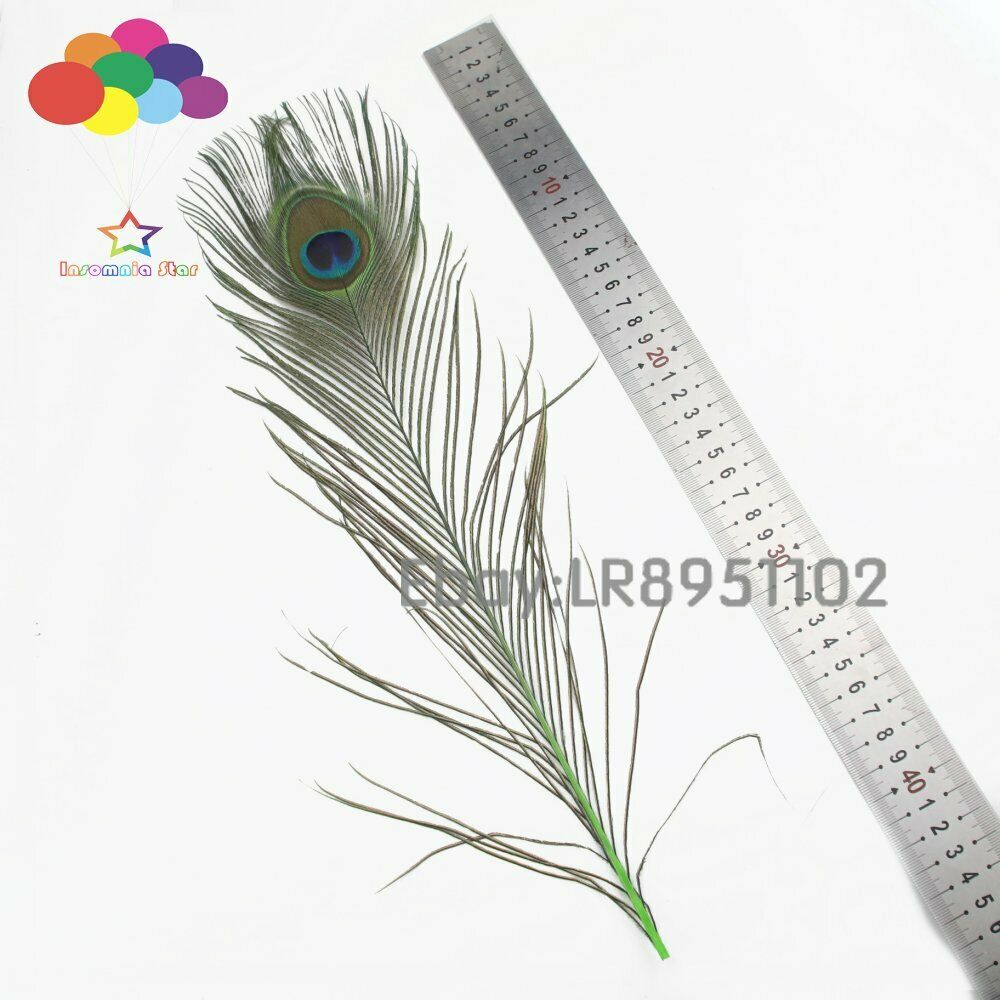 Fruit green crafts 40-45cm Peacock Eye Tail feathers DIY hair wedding party home