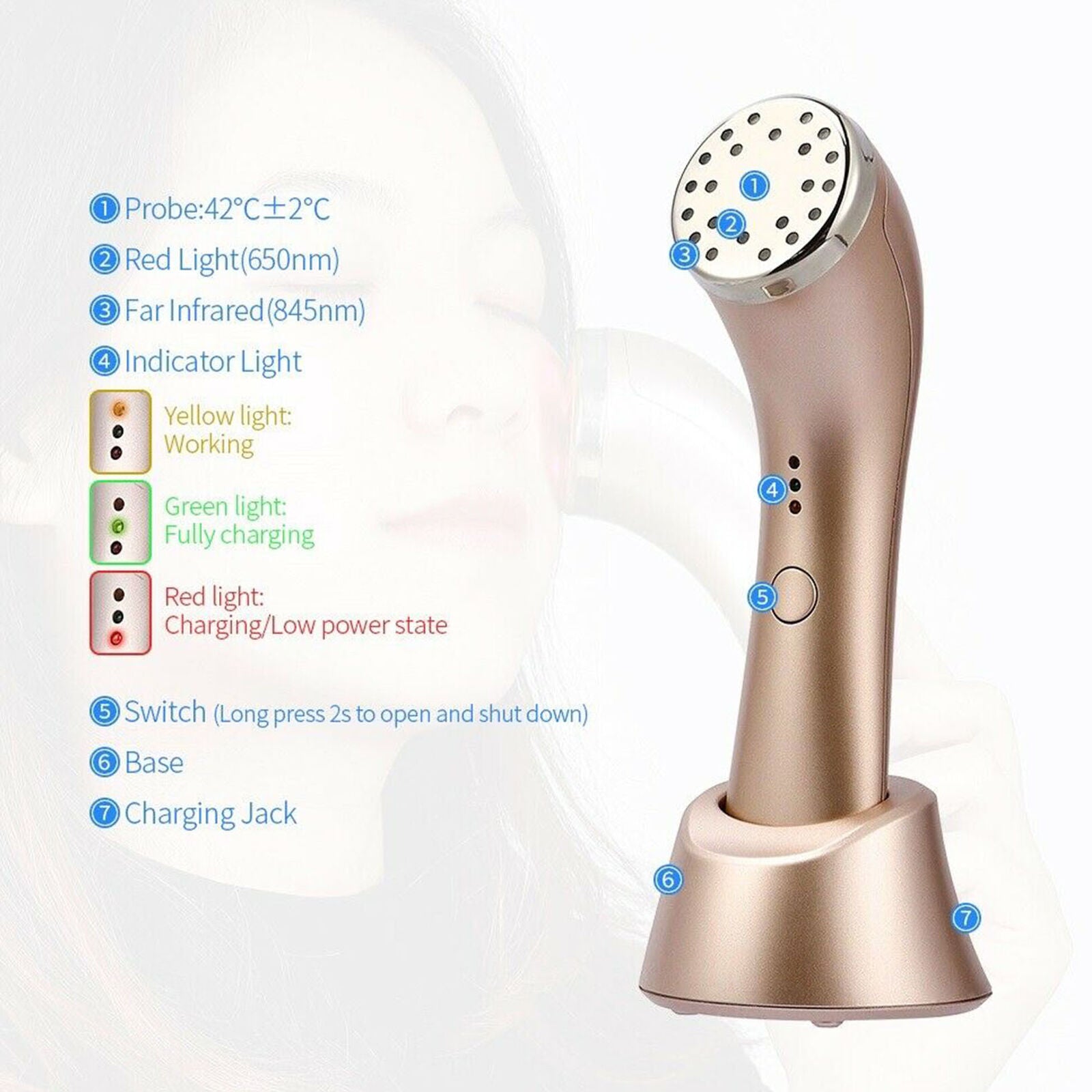 Infrared Heating Red LED Light Therapy Massager Skin Rejuvenation Beauty Machine