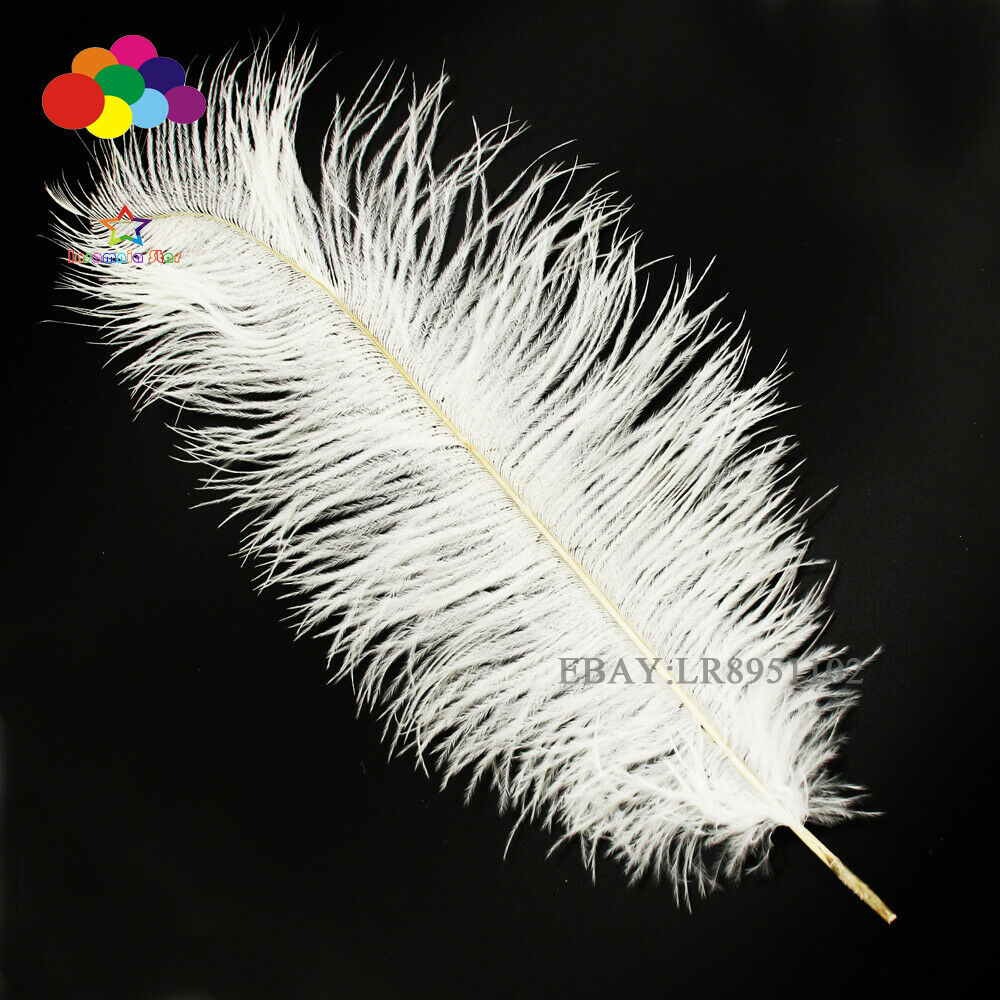 White Ostrich Feather 8-10 Inch/20-25 cm 50 PCS Home Decor Romantic wedding