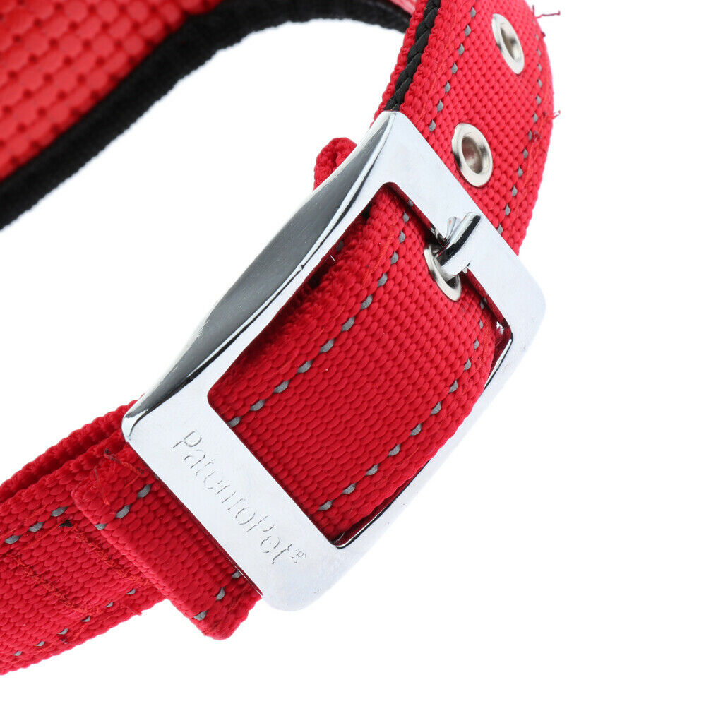 Pet Dog Collar Neck Belt with Adjustable Strap Dog Cat Pet Accessories Red