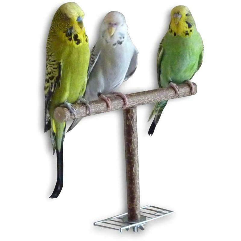 Bird Parrot Wood Cage Toys Training T Perch Grinding Chewing Parakeet Stand
