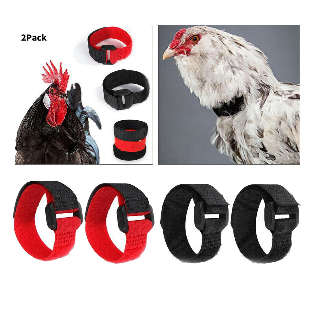 4 Pieces Rooster Collar Prevent Rooster from Screaming for Poultry Rooster