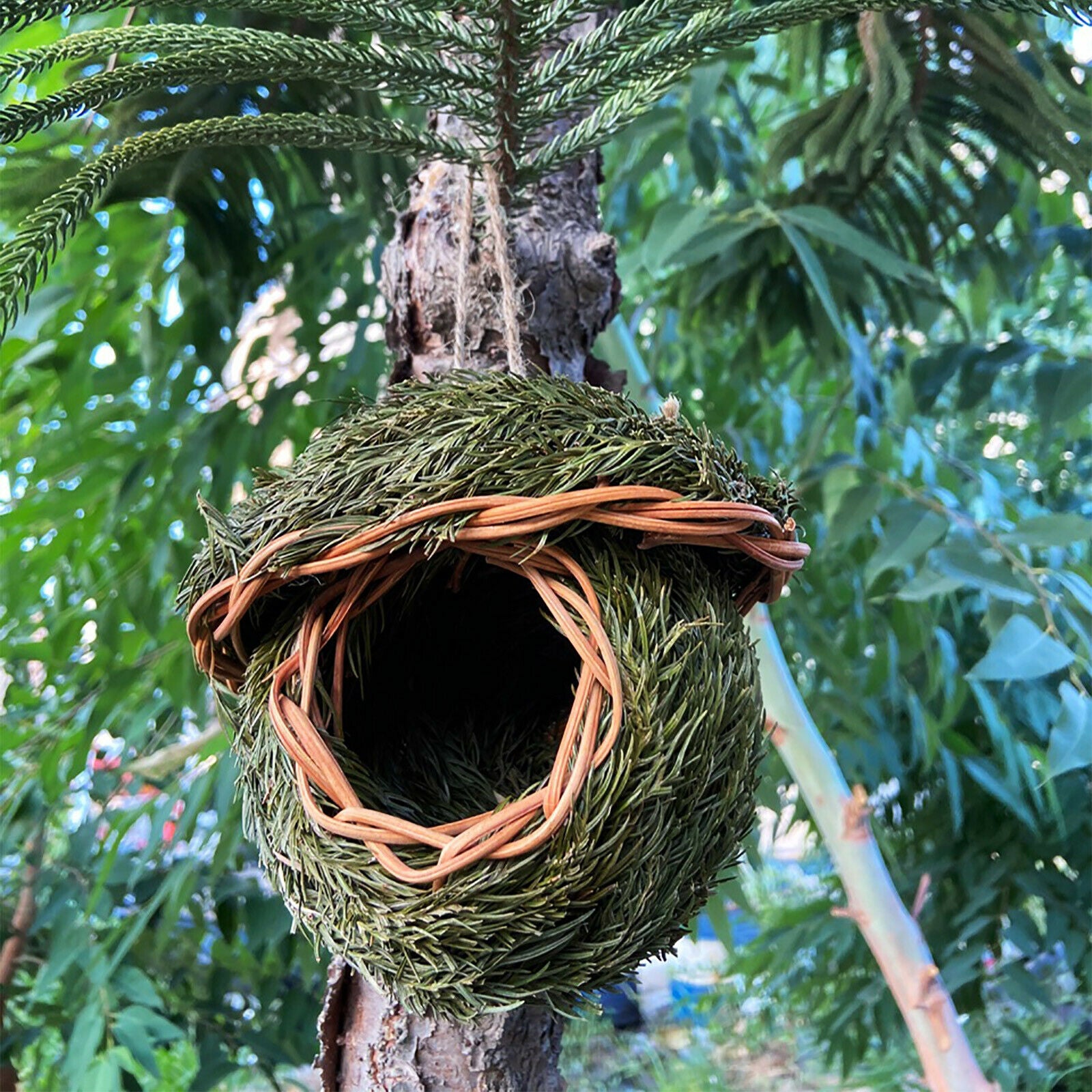 Bird Nest Natural Grass Weaved Eggs Cage Outdoor Decorative Hanging Parrot House
