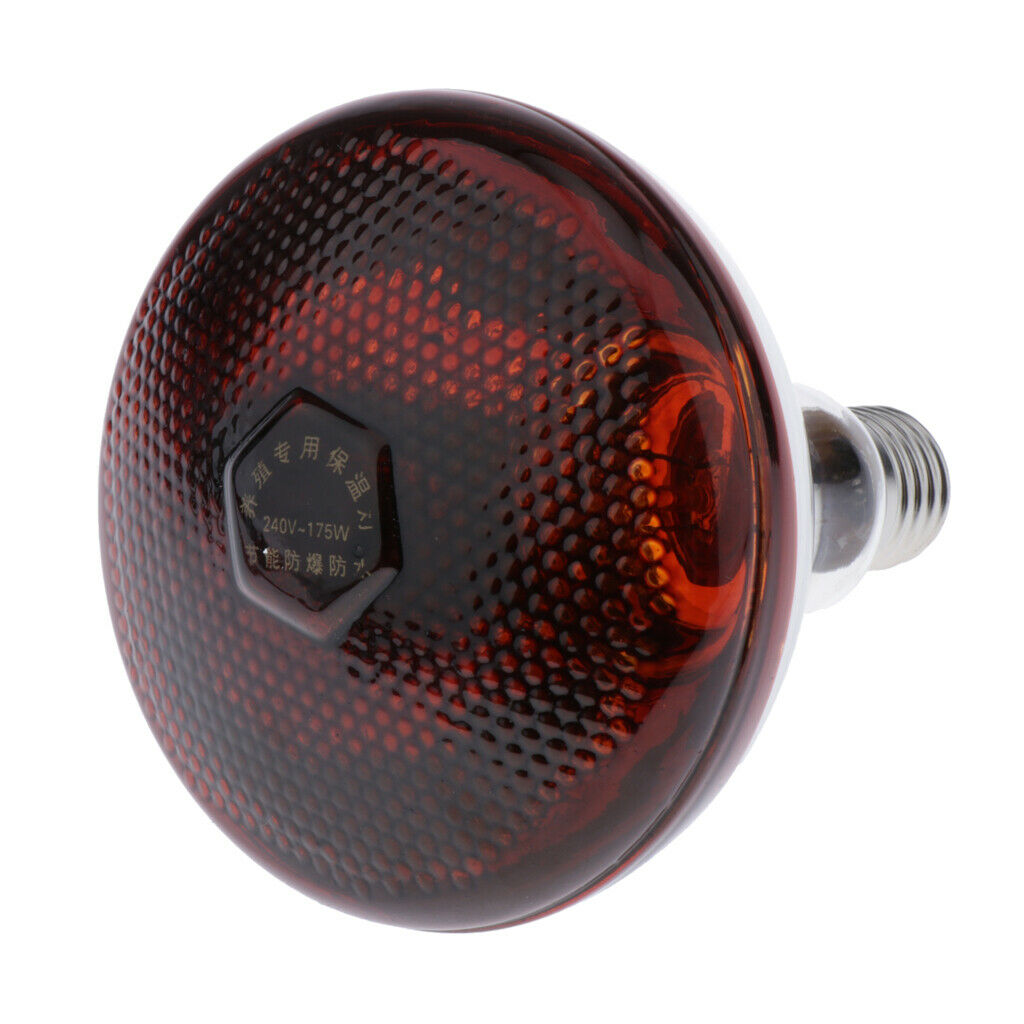 220V Basking Bulb Reptile Habitat Heat Light Bulbs Lamp 175W for Reptile Tank