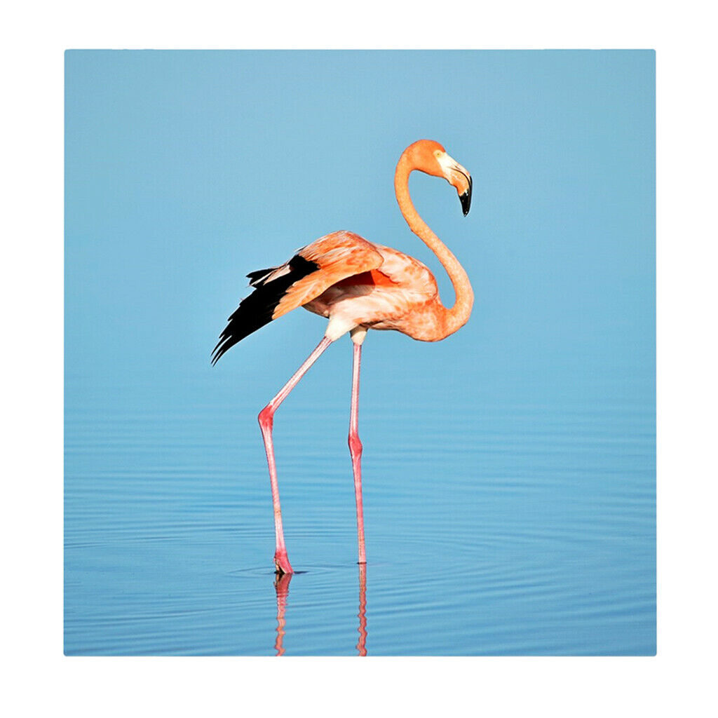 1 Set Daimond Painting Kit Lovely Animal Picture for Wall Decor Flamingos