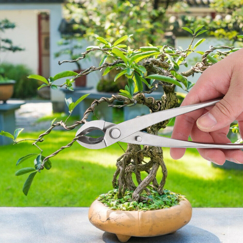 Garden Knob Cutter Beginner Branch Bonsai Tool Concave Cutter Round Edge Cutter