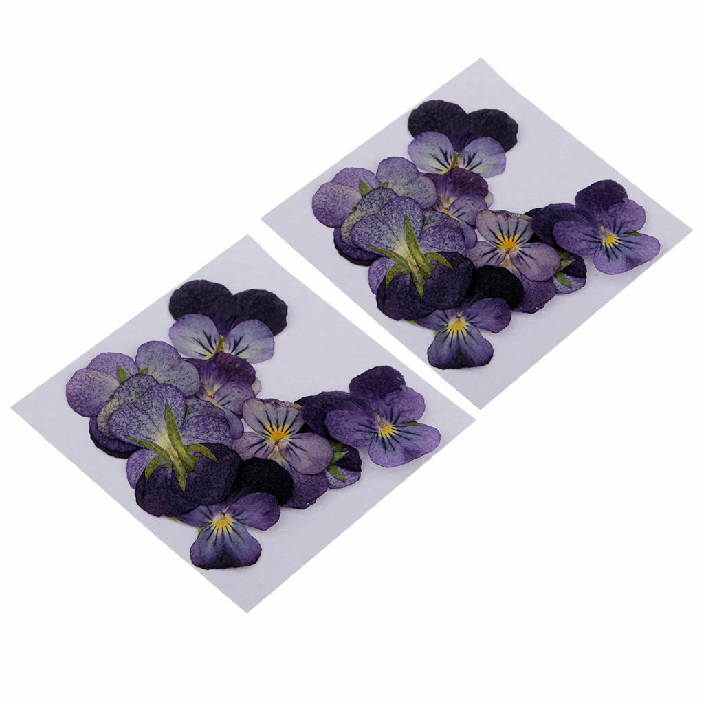 24Pcs Dried Pressed Flowers DIY Real Dried Flower Jewelry Making Specimen