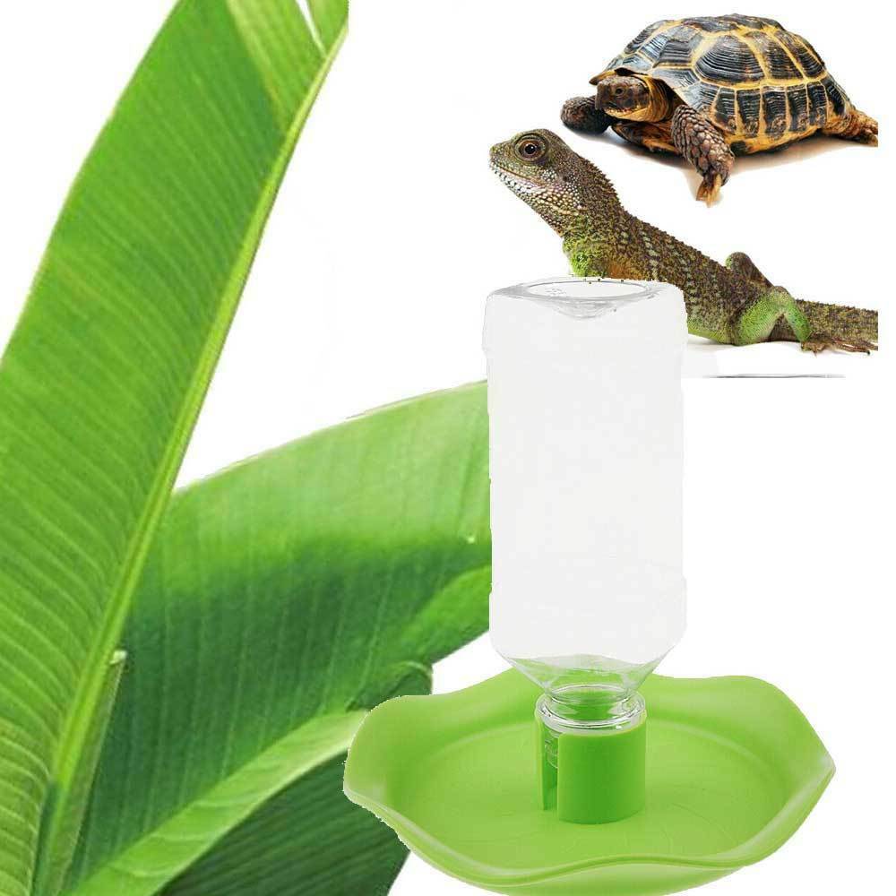 Automatic Water Bowl Container For Reptile Tortoise Spiders Lizard Green
