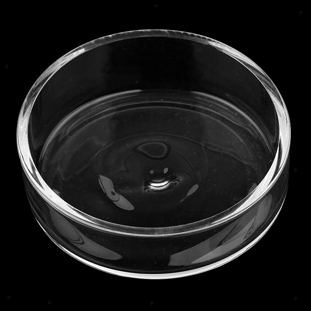 3 pcs Aquarium Glass Round Shape Shrimp Feeding Feeder Dish Food Basin