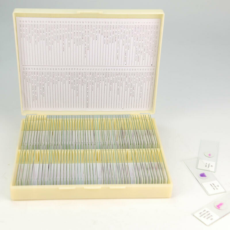 100 PCS Human Tissue Sections Histology Prepared Specimen Microscope Slides