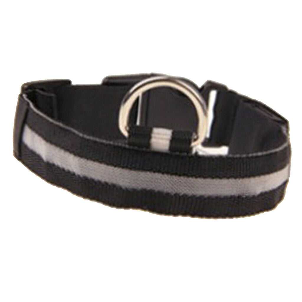 Pet Lighting Collar Light Up for Dog Puppy French Bulldog Husky Multicolor