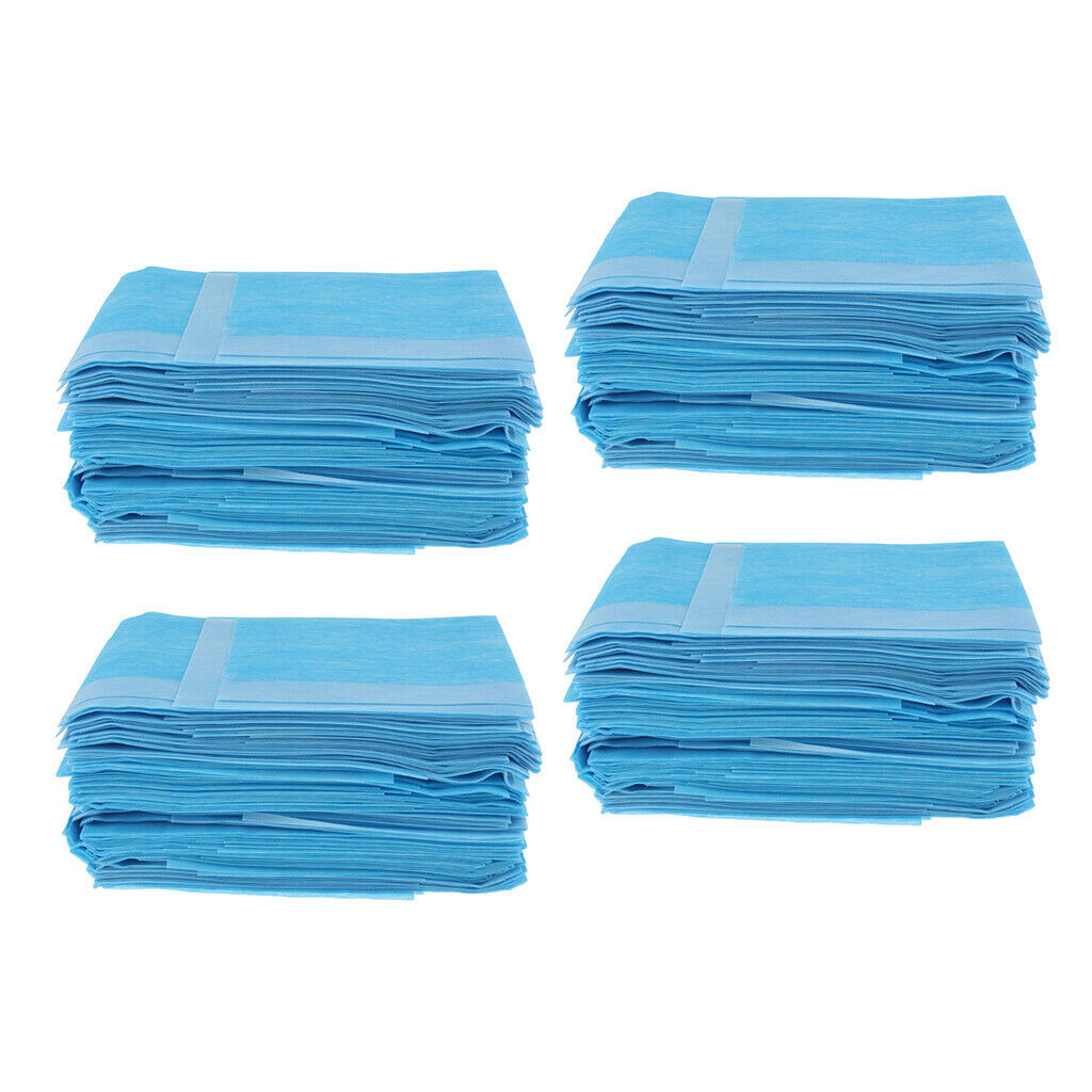240pcs Disposable Underpads With Ultra Absorbent 40x40cm for Kids Children Pets
