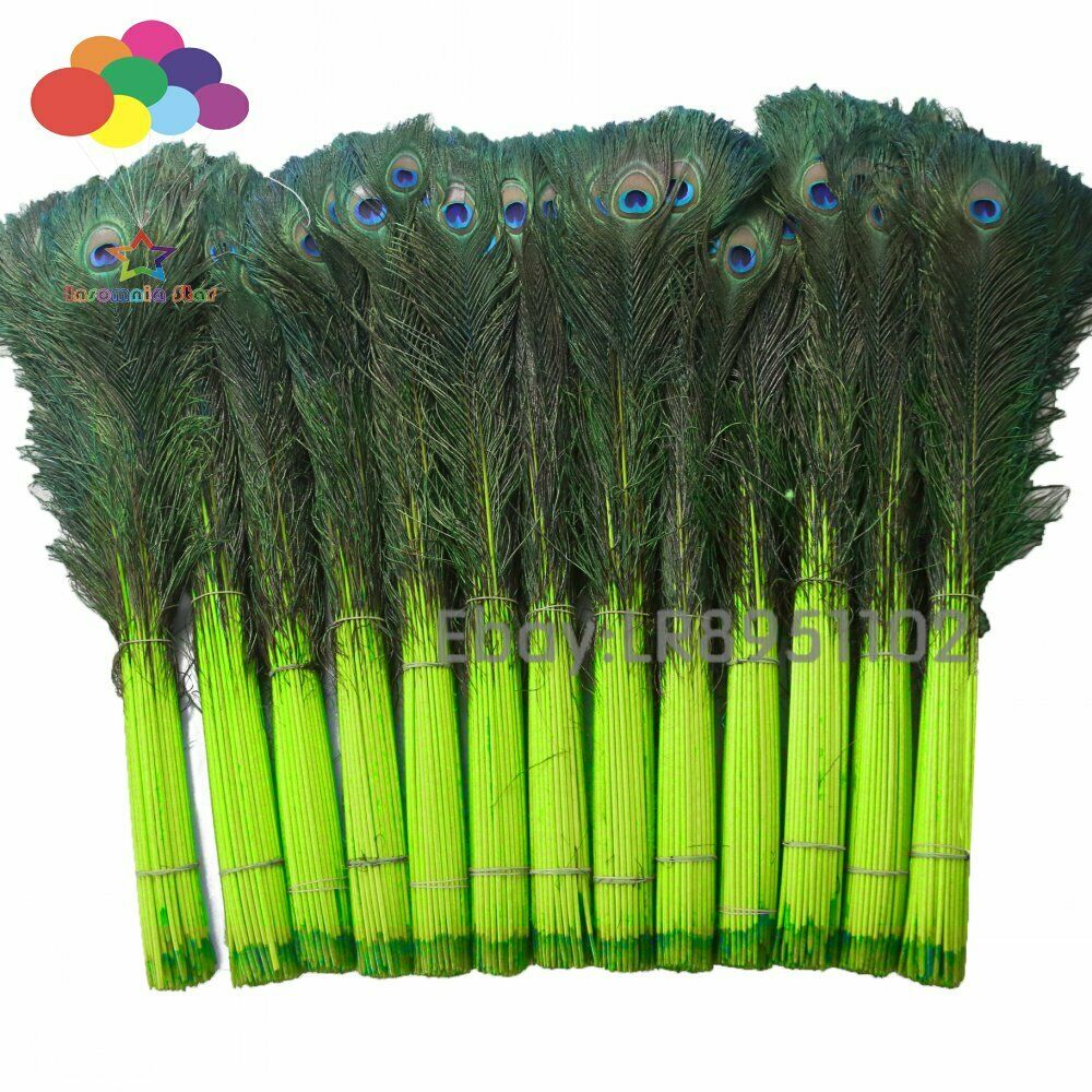 100 Pcs/Lot Fluorescence Real Peacock Feathers for Crafts 70-80cm  Dress DIY
