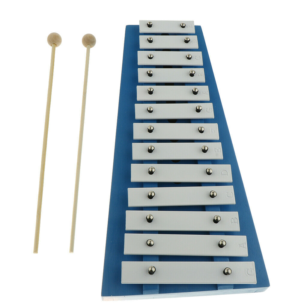 15 Keys Aluminum Xylophone with Mallets for Kids Early Educational