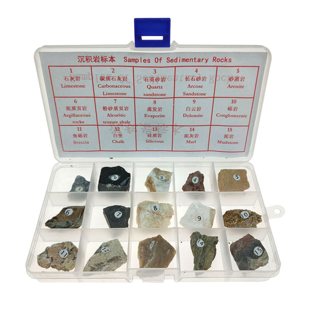 15pcs Sedimentary Rock Specimen Educational Rock Real Stone Teaching Aid