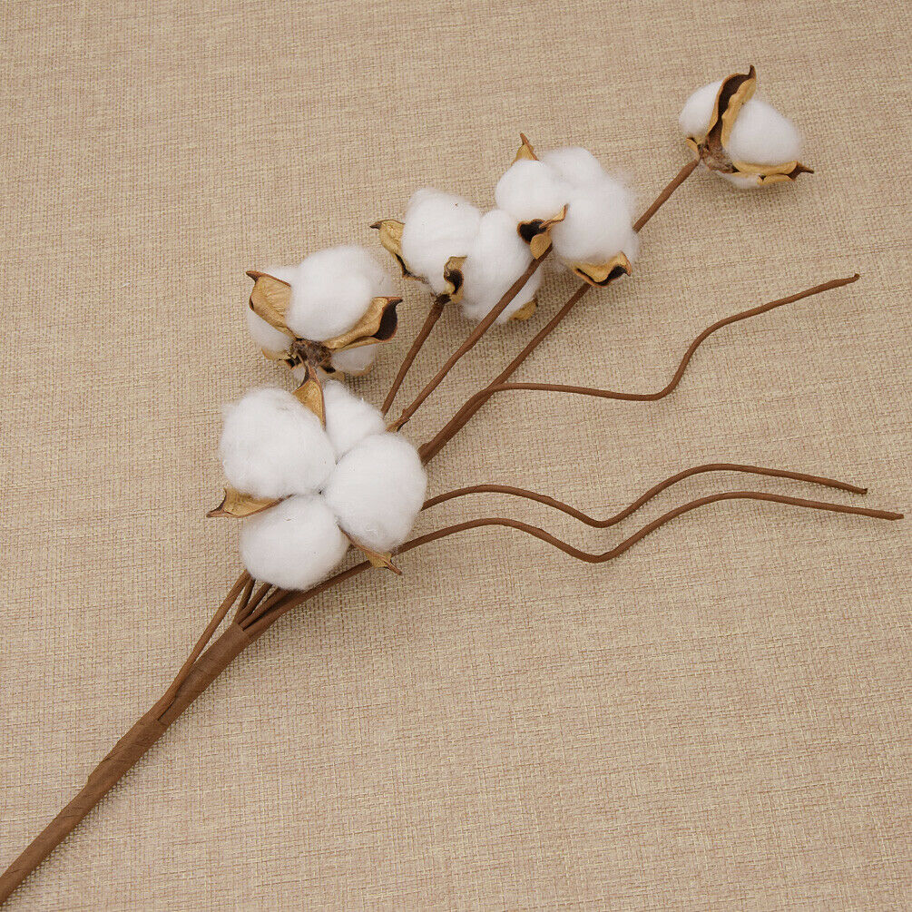 5 Heads Dried Cotton Branch Flower Bouquets DIY for Home Wedding Party Decor