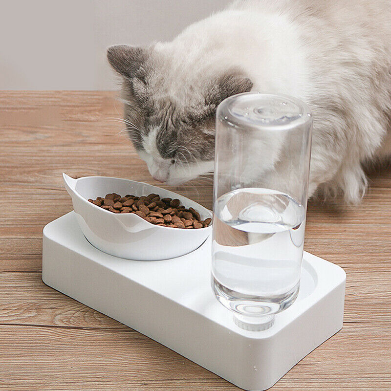 Automatic Feeder Dog Cat Food Bowl with Water Dispenser Double Drinking BowlFCA