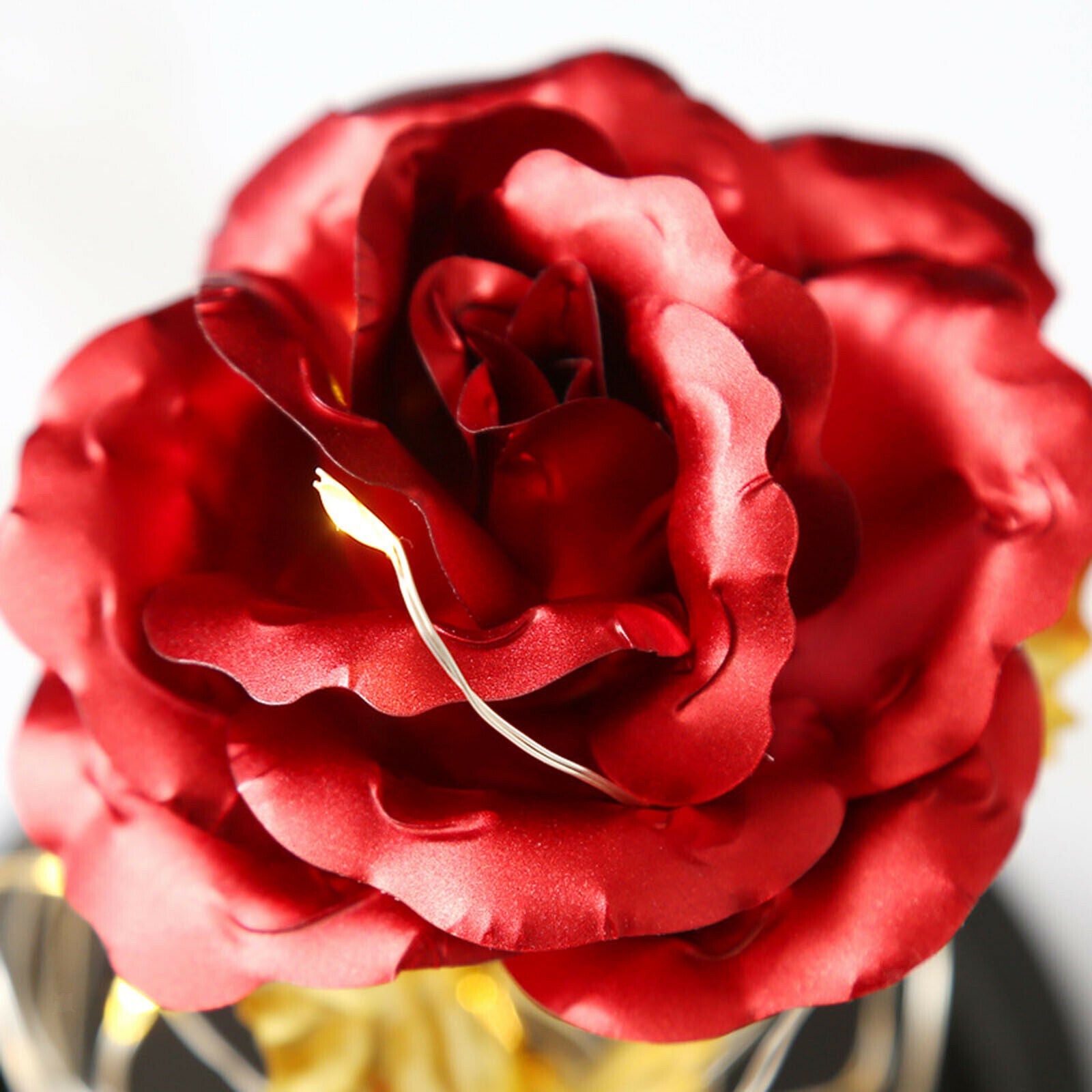 Rose in Glass Dome Flower LED Lamp Night Light for Wedding Anniversary