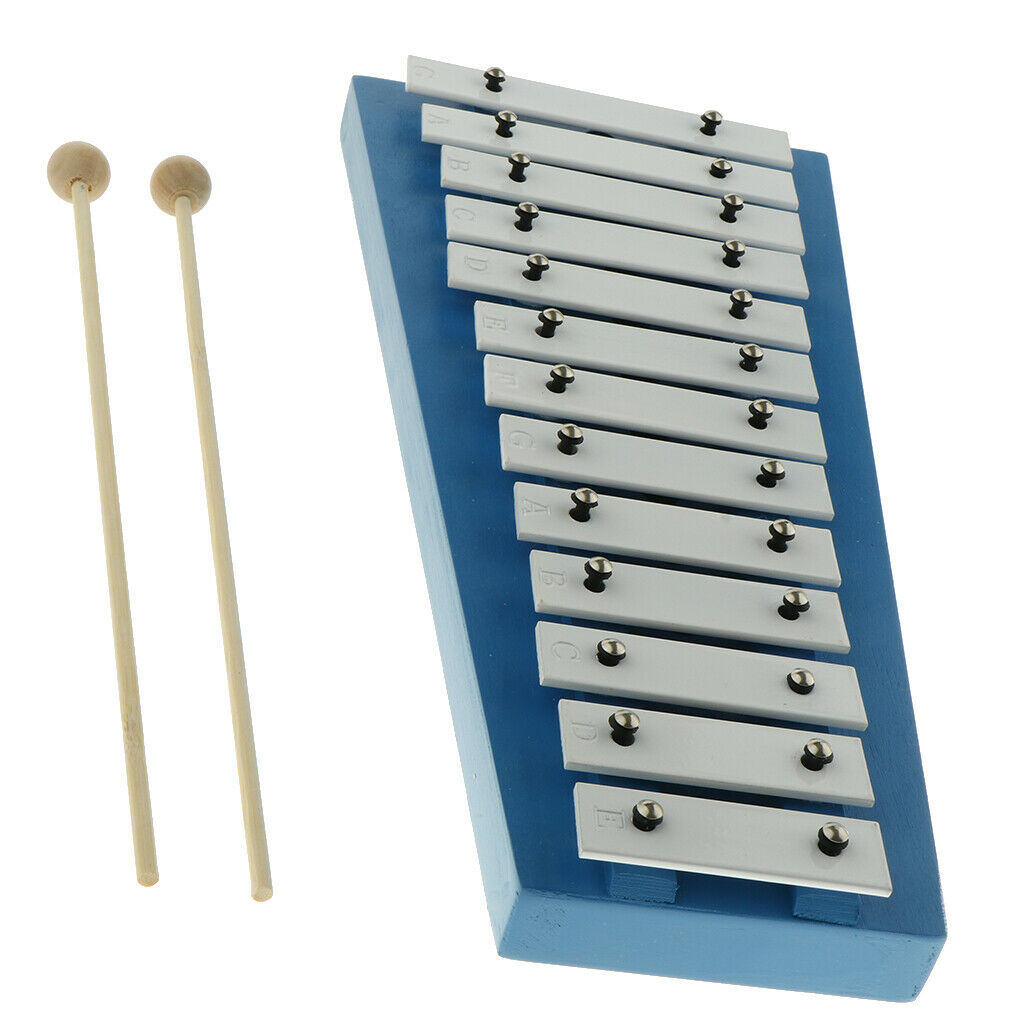 15 Keys Aluminum Xylophone with Mallets for Kids Early Educational