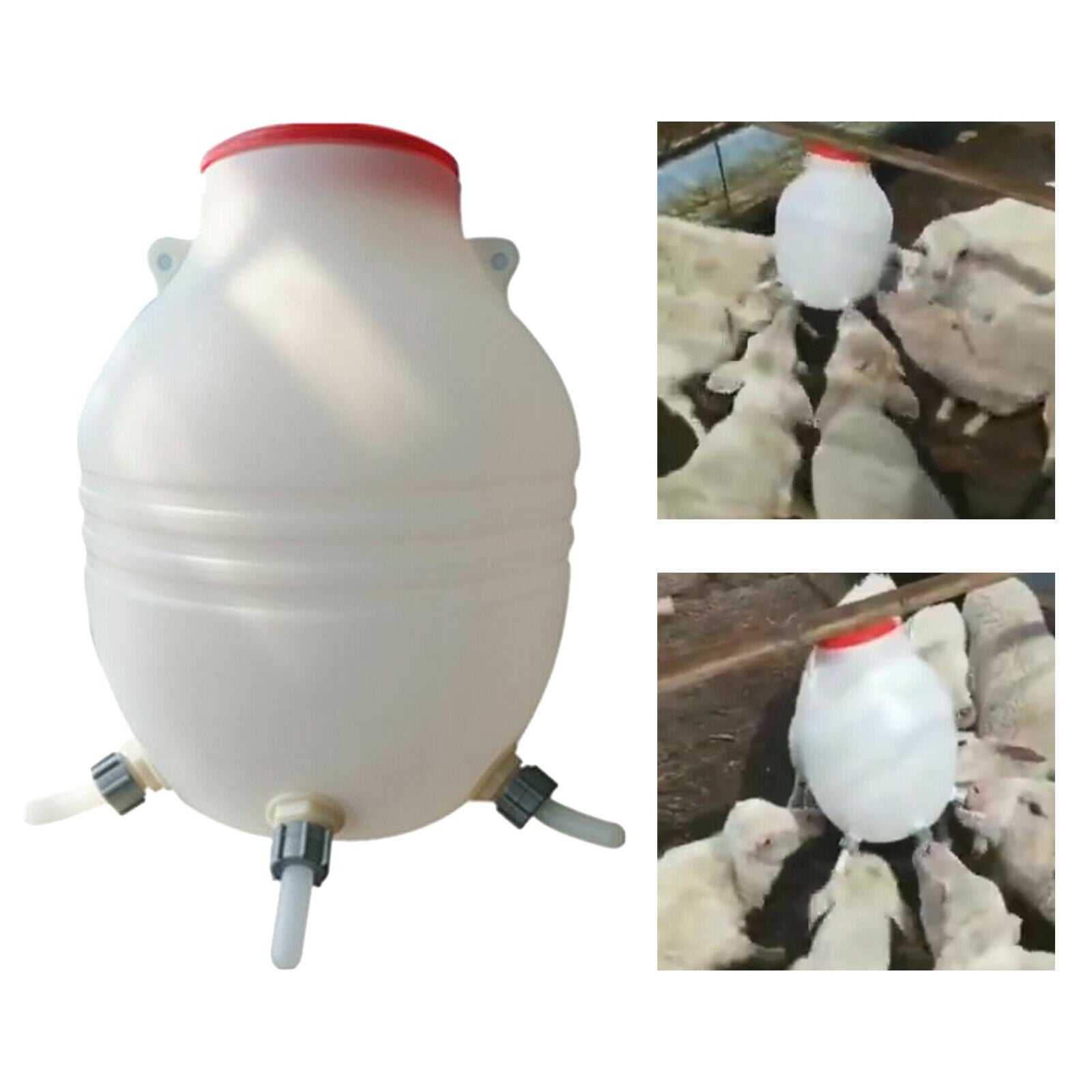 8L Lamb Feeder Bucket for Farm Animal Dog Poultry Feeding Pot Accessories