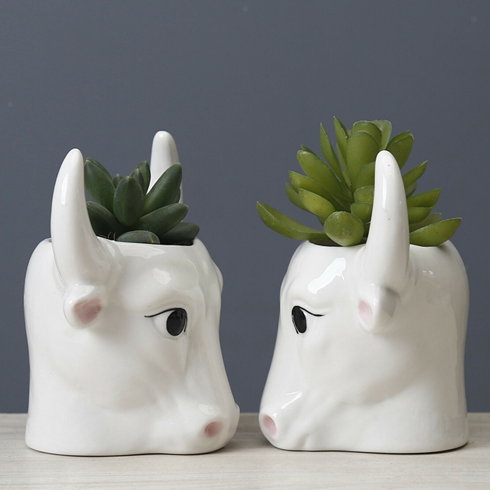 Bull Succulent Pot Flower Plant Planter Flowerpot Office Balcony Ornament