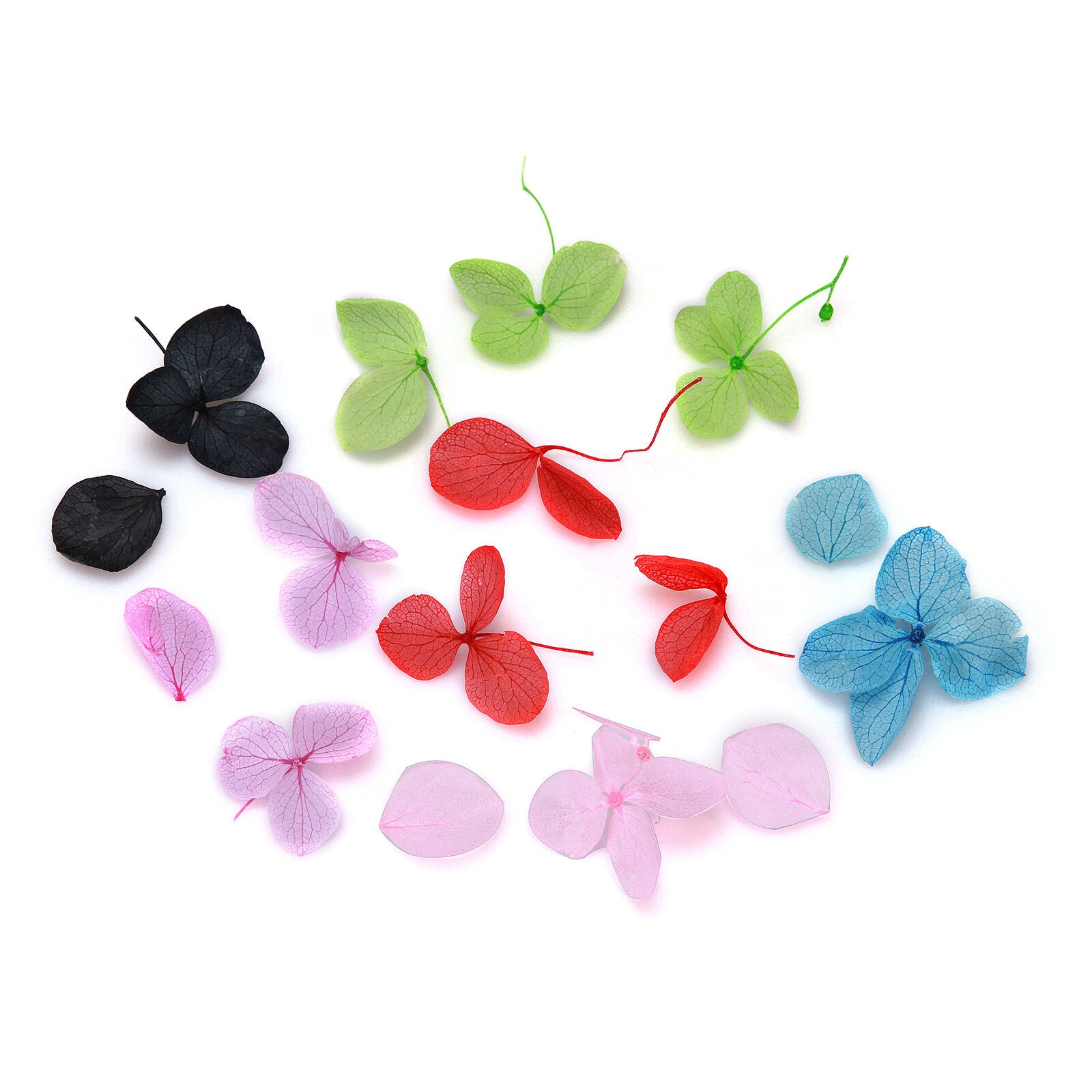 12 Colors Flowers Nail Art Decor Natural Real Dry Dried Flower Petal With Box