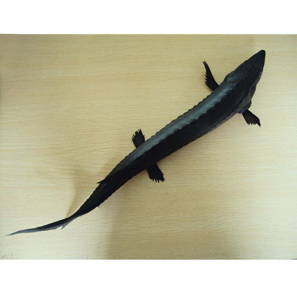 Lively Artificial Acipenser Sinensis Imitation Ainimal Store Cabinet