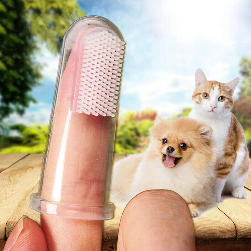 1 Pcs Super Soft Pet Finger Toothbrush Teddy Dog Brush Bad Breath Teeth T.l8