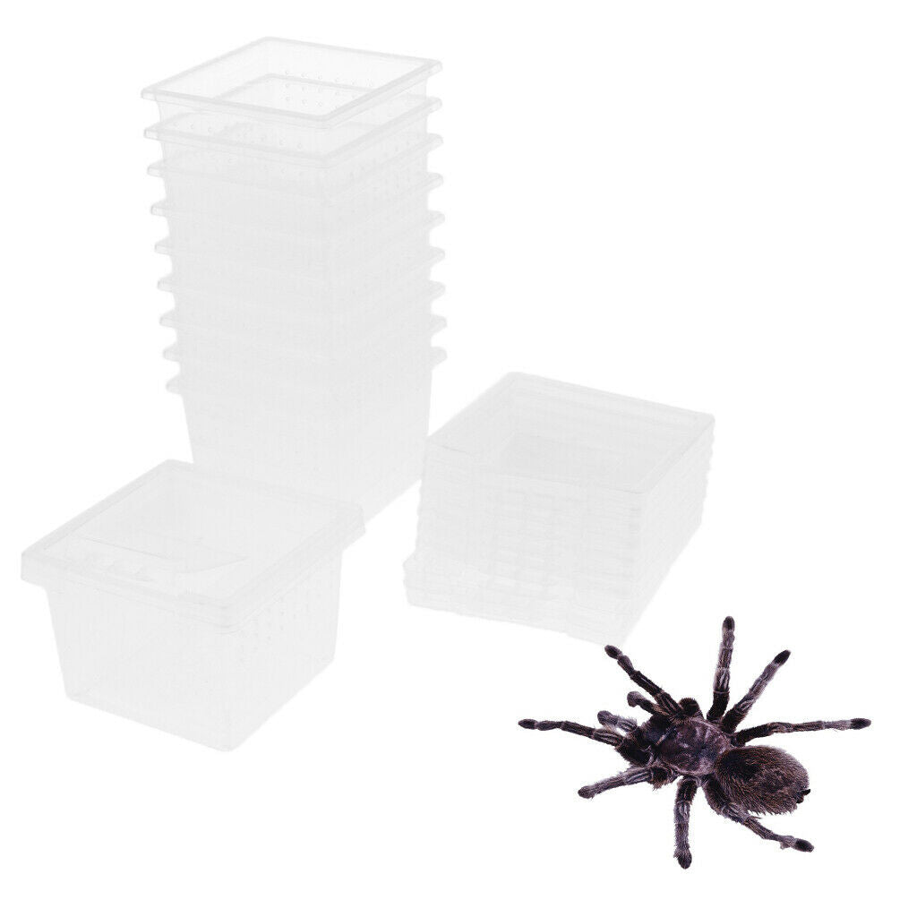 40Pcs Clear Reptile Spider Scorpion Breeding Box Hatching Container Cage