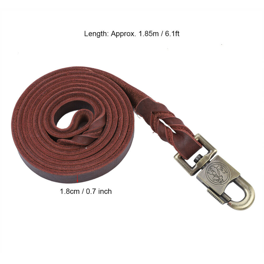 Durable Dog Training Leash Stylish Dog Strap for Medium Dogs for Large Dogs