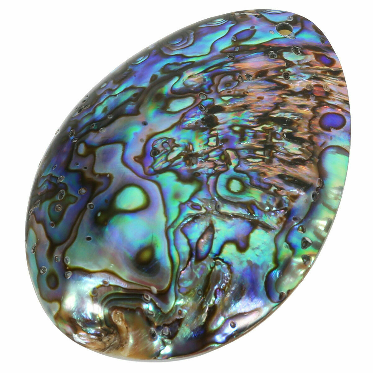 Natural Seashell Abalone Shell Pendant Jewellery Craft Gifts House Pendant Decor