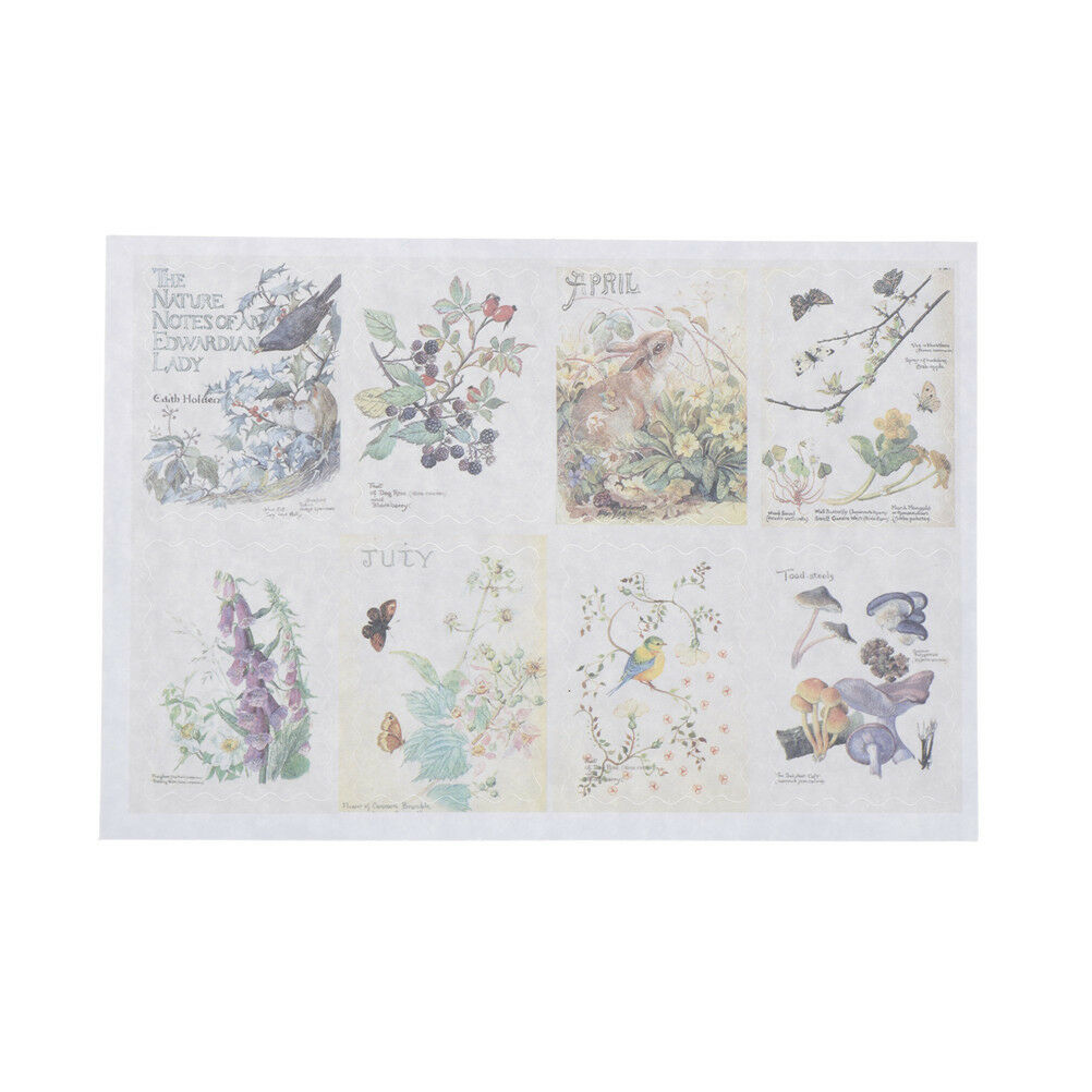 Hand-Painted Flower Plants Decorative Adhesive Stickers DIY Decor Diary St.l8