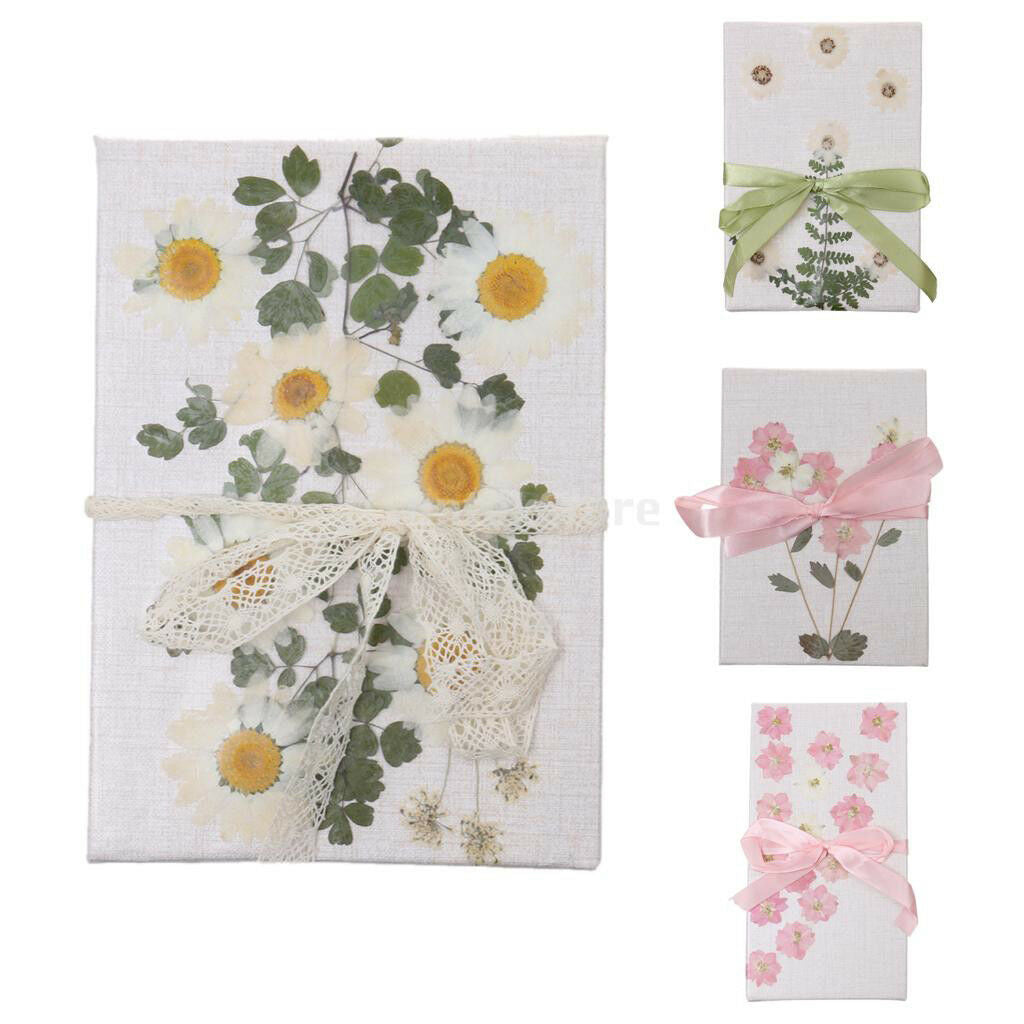 10 Pieces Dried Pressed Paludosum Daisy Flowers for DIY Art and Crafts