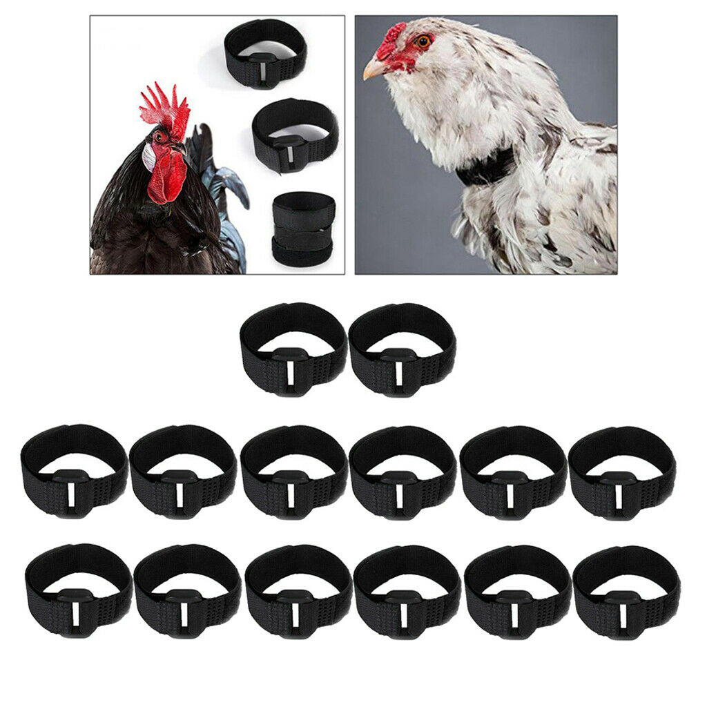 14x Rooster Collar Prevent Rooster from Screaming for Poultry Rooster Black