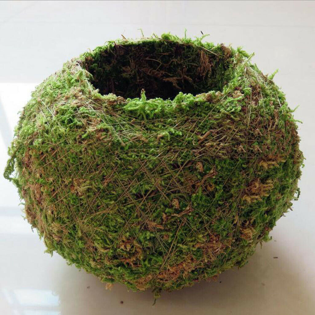 2pcs Moss Flower Pot Succulent Planter Container Garden Decoration 15cm/5